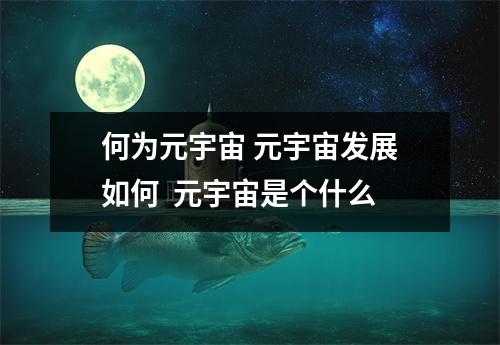 何为元宇宙 元宇宙发展如何  元宇宙是个什么