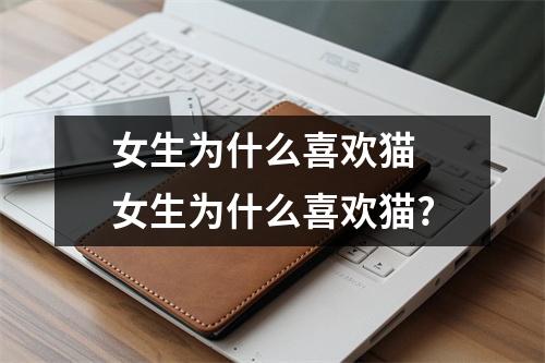 女生为什么喜欢猫 女生为什么喜欢猫?