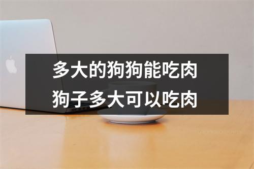 多大的狗狗能吃肉 狗子多大可以吃肉