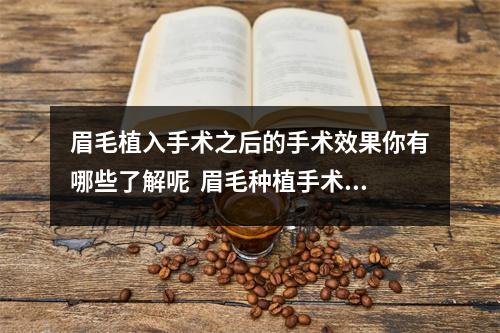 眉毛植入手术之后的手术效果你有哪些了解呢 眉毛种植手术多少钱 眉毛植入手术之后的手术效果你有哪些了解呢 眉毛种植手术多少钱