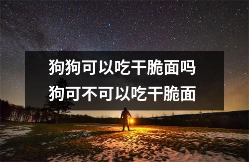 狗狗可以吃干脆面吗 狗可不可以吃干脆面