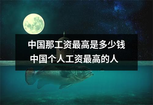 中国那工资最高是多少钱 中国个人工资最高的人