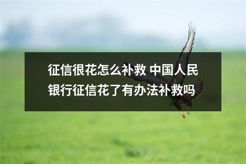 征信很花怎么补救 中国人民银行征信花了有办法补救吗