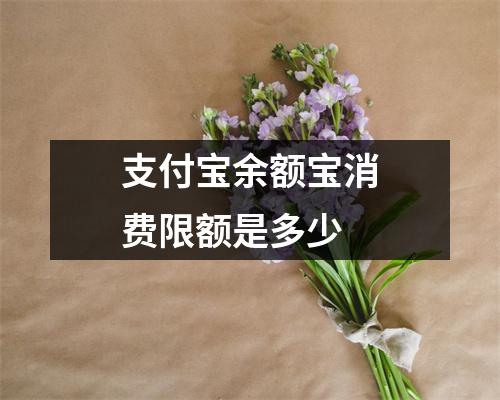 支付宝余额宝消费限额是多少