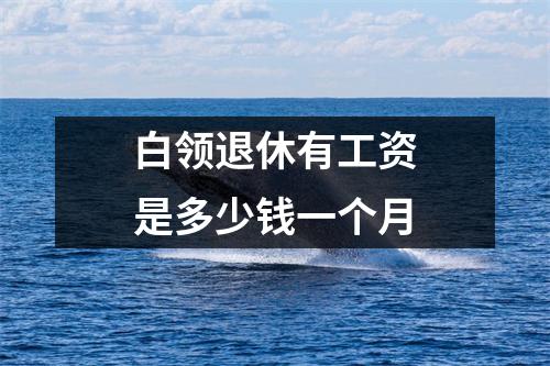 白领退休有工资是多少钱一个月