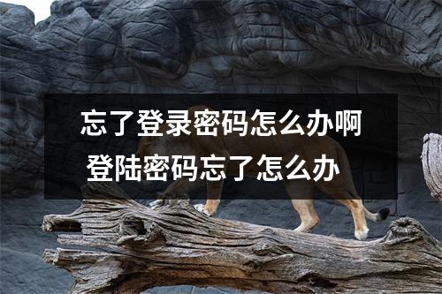 忘了登录密码怎么办啊 登陆密码忘了怎么办