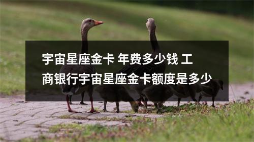 宇宙星座金卡 年费多少钱 工商银行宇宙星座金卡额度是多少