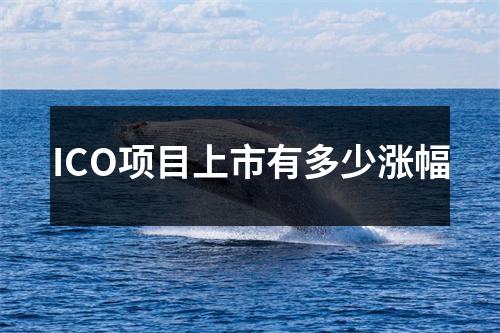 ICO项目上市有多少涨幅