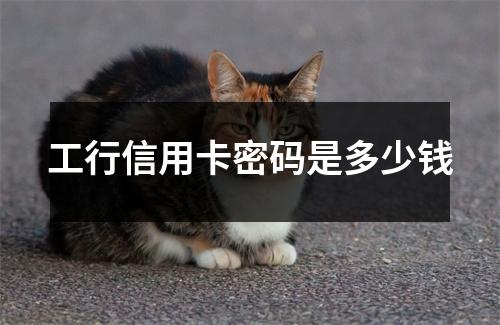 工行信用卡密码是多少钱