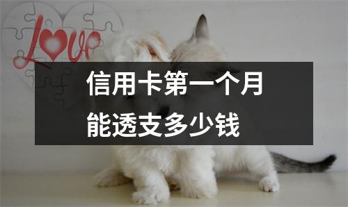 信用卡第一个月能透支多少钱