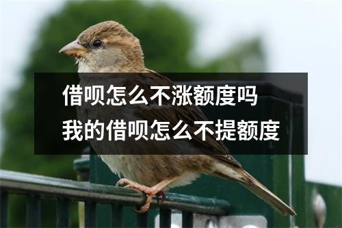 借呗怎么不涨额度吗 我的借呗怎么不提额度