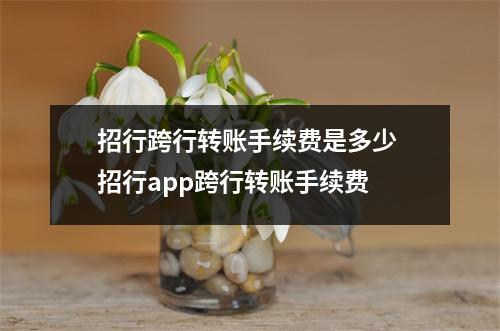 招行跨行转账手续费是多少 招行app跨行转账手续费