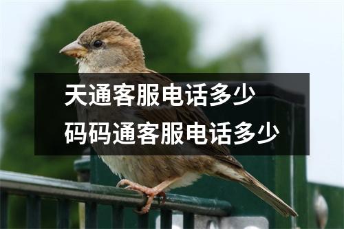 天通客服电话多少 码码通客服电话多少