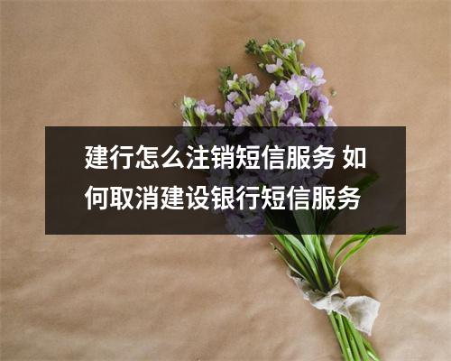 建行怎么注销短信服务 如何取消建设银行短信服务