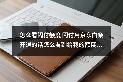 怎么看闪付额度 闪付用京东白条开通的话怎么看到给我的额度呢