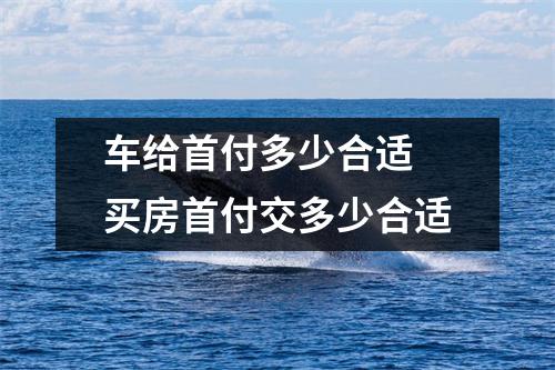车给首付多少合适 买房首付交多少合适