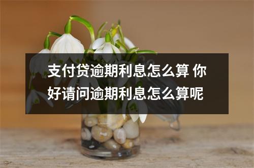 支付贷逾期利息怎么算 你好请问逾期利息怎么算呢