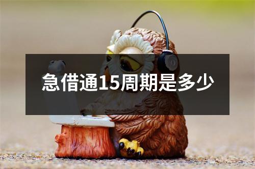 急借通15周期是多少