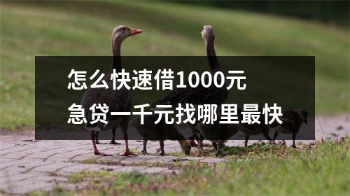 怎么快速借1000元 急贷一千元找哪里最快