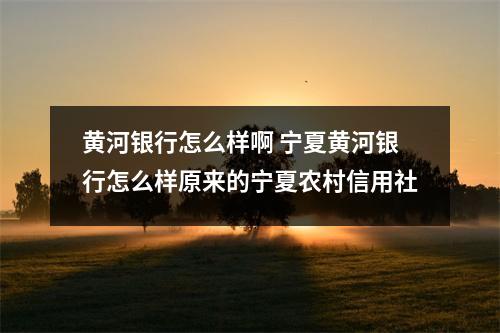 黄河银行怎么样啊 宁夏黄河银行怎么样原来的宁夏农村信用社