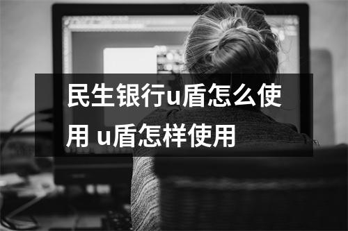 民生银行u盾怎么使用 u盾怎样使用