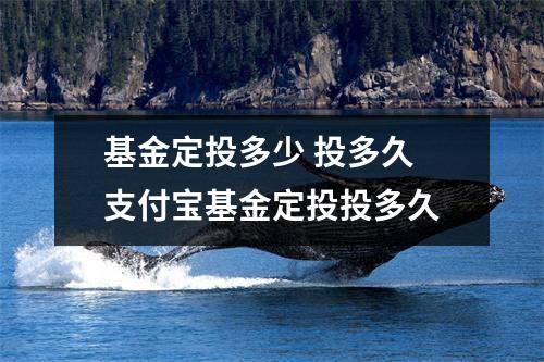 基金定投多少 投多久 支付宝基金定投投多久