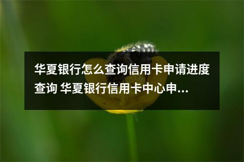 华夏银行怎么查询信用卡申请进度查询 华夏银行信用卡中心申请进度查询怎么查