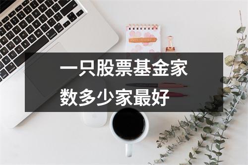一只股票基金家数多少家最好