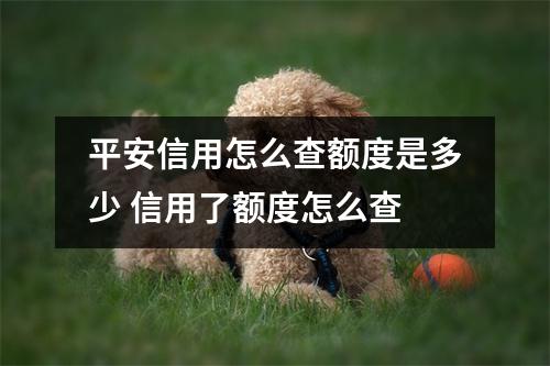 平安信用怎么查额度是多少 信用了额度怎么查