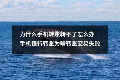 为什么手机转账转不了怎么办 手机银行转账为啥转账交易失败