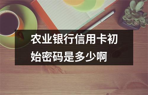 农业银行信用卡初始密码是多少啊