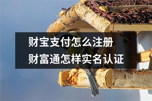 财宝支付怎么注册 财富通怎样实名认证