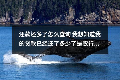 还款还多了怎么查询 我想知道我的贷款已经还了多少了是农行的请问在哪里查啊