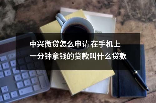 中兴微贷怎么申请 在手机上一分钟拿钱的贷款叫什么贷款