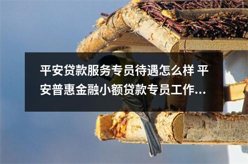 平安贷款服务专员待遇怎么样 平安普惠金融小额贷款专员工作好做吗待遇怎么样业绩压力大吗