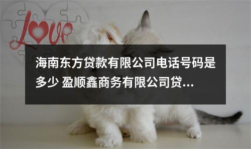 海南东方贷款有限公司电话号码是多少 盈顺鑫商务有限公司贷款电话号码