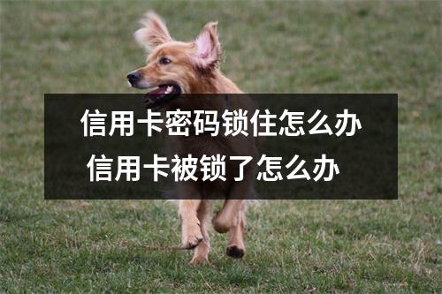 信用卡密码锁住怎么办 信用卡被锁了怎么办