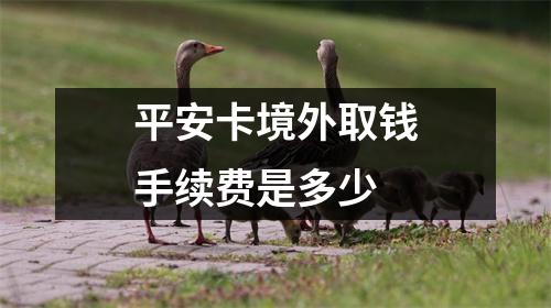 平安卡境外取钱手续费是多少