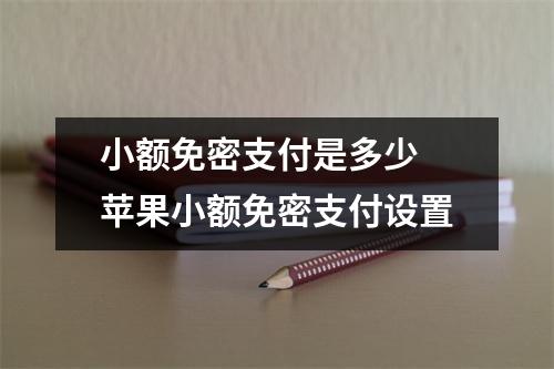 小额免密支付是多少 苹果小额免密支付设置