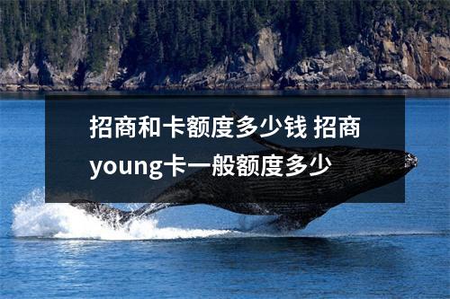 招商和卡额度多少钱 招商young卡一般额度多少