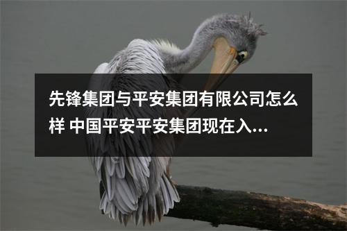 先锋集团与平安集团有限公司怎么样 中国平安平安集团现在入职体检还需要查乙肝那玩意嘛