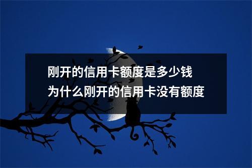 刚开的信用卡额度是多少钱 为什么刚开的信用卡没有额度