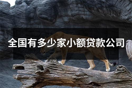 全国有多少家小额贷款公司
