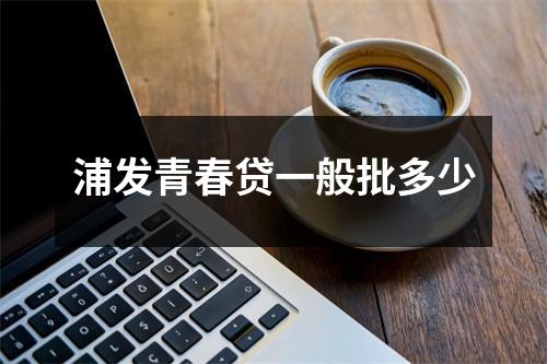 浦发青春贷一般批多少
