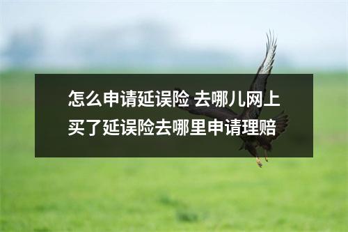 怎么申请延误险 去哪儿网上买了延误险去哪里申请理赔