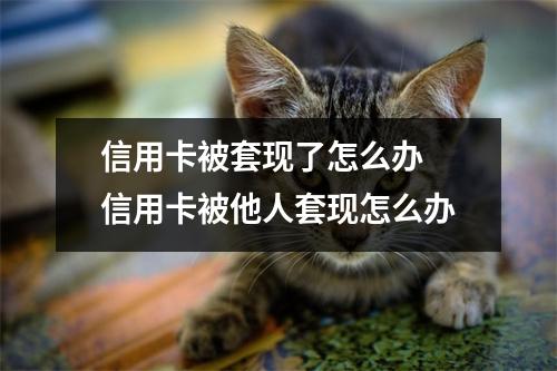 信用卡被套现了怎么办 信用卡被他人套现怎么办