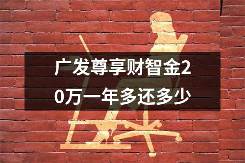 广发尊享财智金20万一年多还多少