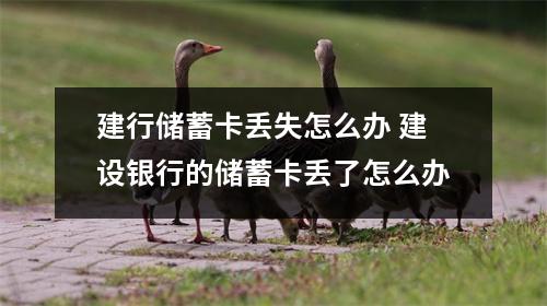 建行储蓄卡丢失怎么办 建设银行的储蓄卡丢了怎么办