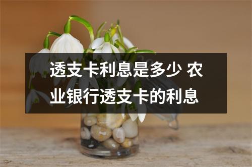 透支卡利息是多少 农业银行透支卡的利息