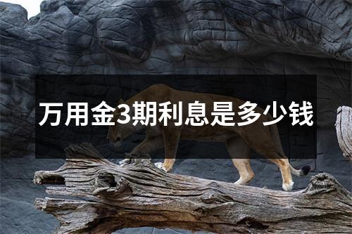 万用金3期利息是多少钱